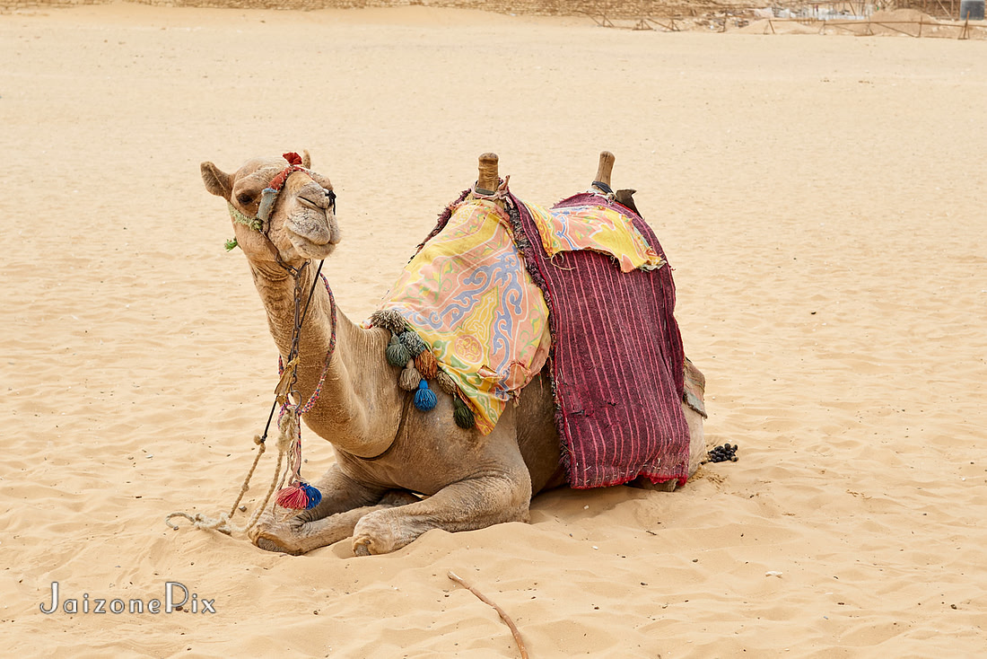 Egypt 2017