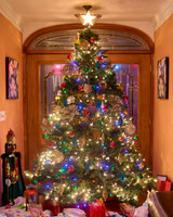 Xmas 2024