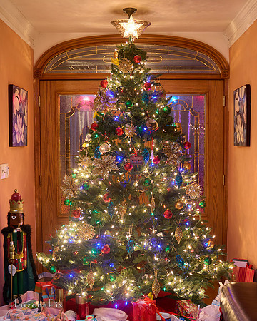 Daphne Xmas 2024