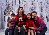 Gerin Xmas 2021