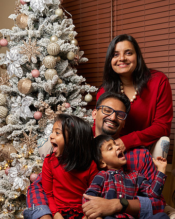Gerin Xmas 2021