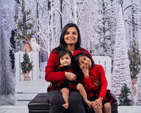 Gerin Xmas 2021