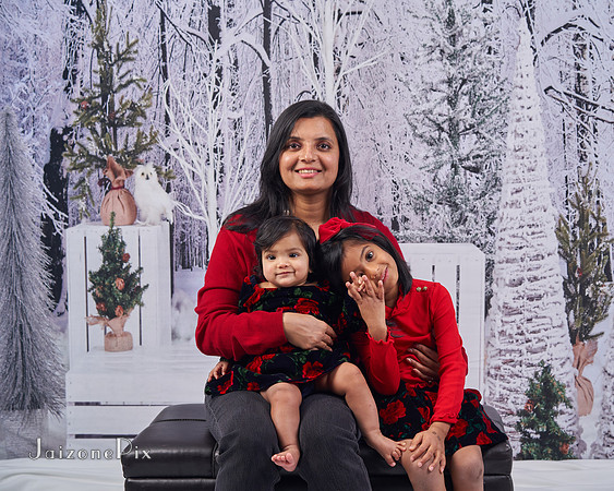 Gerin Xmas 2021