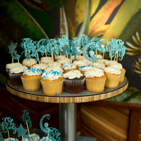 Alexis Baby Shower