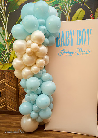 Alexis Baby Shower